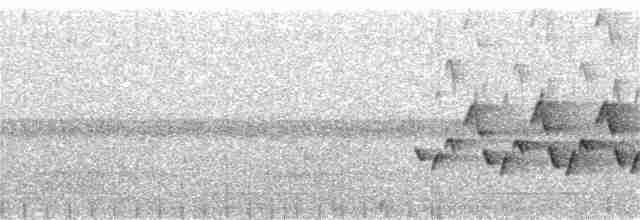 Каролинский крапивник - ML349988971