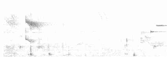 Белобровый дятелок - ML349994731