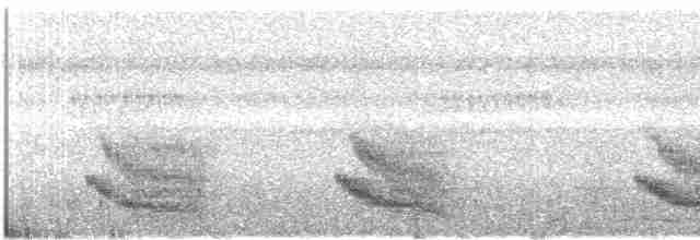Rufous-throated Antbird - ML349995031