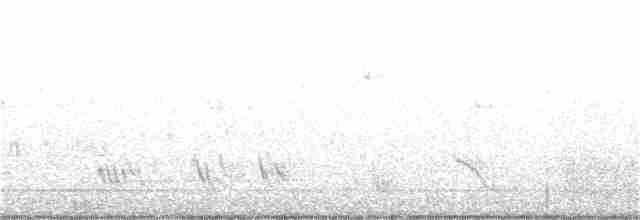 Büyük Mor Kırlangıç - ML350047221