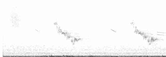 Хохлатая птица-бич - ML350061841