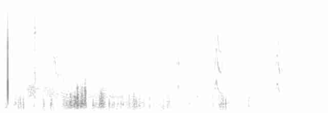 Землекоп сірий - ML350107631
