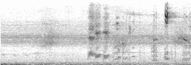 Kama Kuyruklu Kılıçkanat (curvipennis) - ML350112621