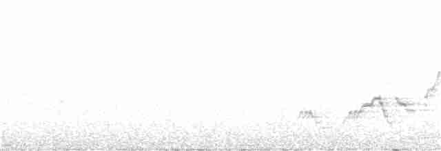 Дрізд-короткодзьоб Cвенсона - ML350113891