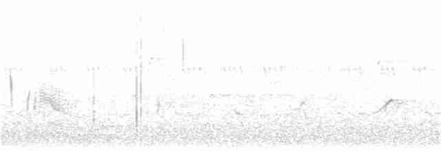 Plongeon huard - ML350126471