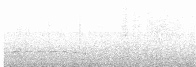 White-shouldered Fire-eye - ML350176501