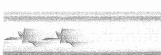 Каролинский крапивник - ML350176771