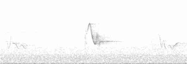 Сероголовый виреон - ML350176991