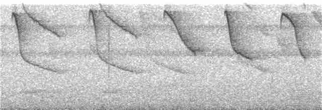 Черногорлый колибри-отшельник - ML350191371