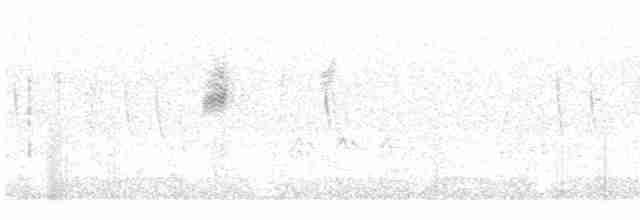 Siyah Taçlı Tiran - ML350210531