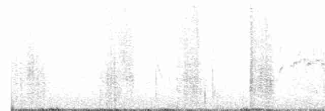 ムナジロアマツバメ - ML350210841