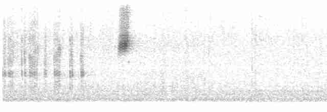 Siyah Taçlı Tiran - ML350211781