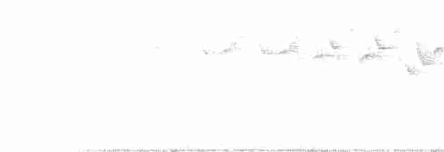 lesňáček černobílý - ML350299801