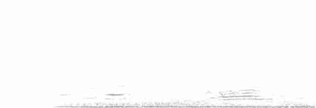 lesňáček černobílý - ML350299821