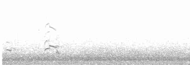 Common Yellowthroat - ML350342951