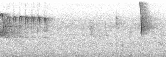svartbrystparula - ML350359811