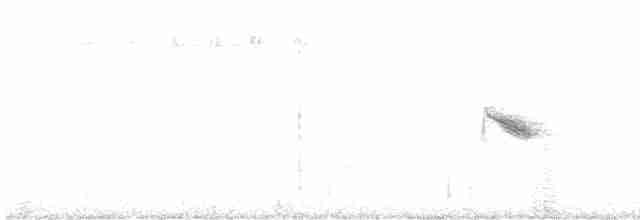 Пестрогорлый соловьиный дрозд - ML350379691