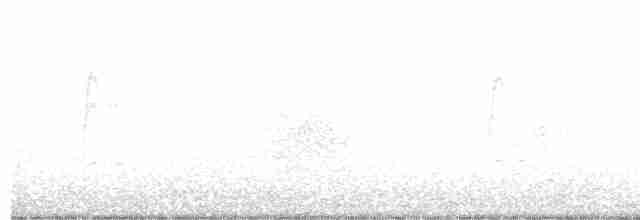 European Starling - ML350397571