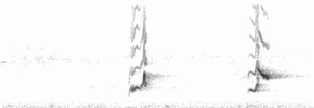 Пересмішник сірий - ML350402591