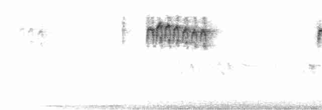 Серый ополовничек [группа melanotis] - ML350427781