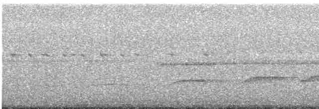 Tufted Antshrike - ML350434991