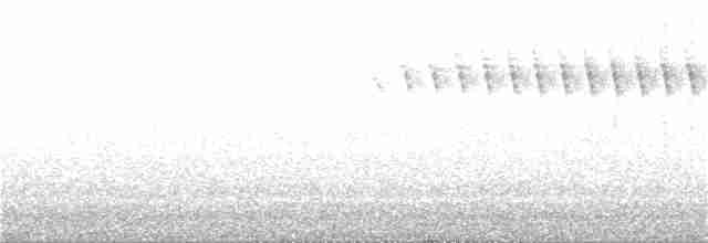 Юнко сірий [група oreganus] - ML350446061