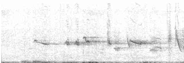 Oriole des vergers - ML350521701