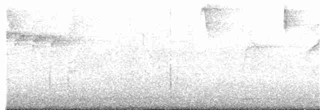 Зеленогорлая эуфония - ML350525711