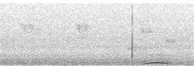 holub chocholatý - ML350557511
