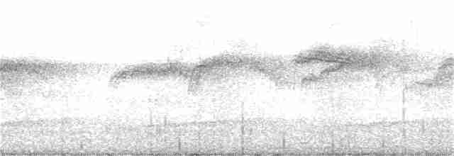 ヨーロッパアマツバメ - ML350582701