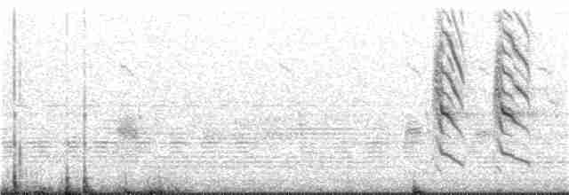 Bulbul noir (groupe leucocephalus) - ML350591271