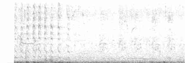 Kara Tepeli Kızkuşu - ML350600621