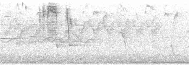 Gri Tepeli Baştankara - ML350608431