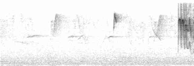 Gri Tepeli Baştankara - ML350610231
