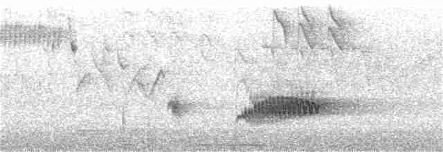Long-tailed Thrush - ML350610411