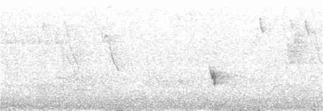 Long-tailed Thrush - ML350610501
