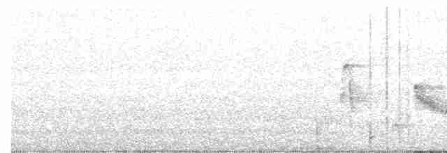 White-eyed Vireo - ML350612251