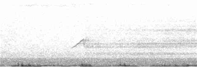 Élanion à queue blanche - ML350641741