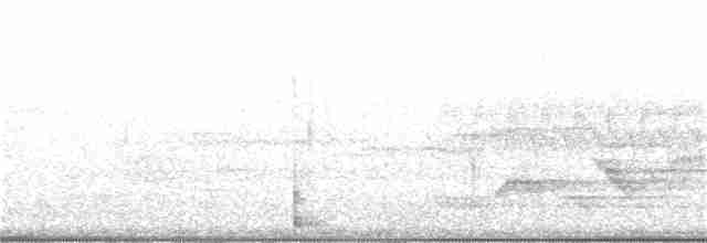 Canada Warbler - ML350656901