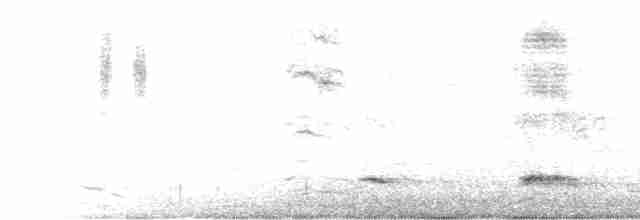 Синалойская ворона - ML350680301