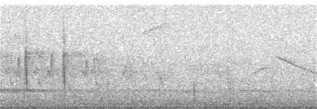Alev Karınlı Dağ Tangarası - ML350810331
