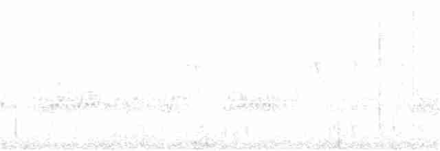 rosennebbhonningeter - ML350861161