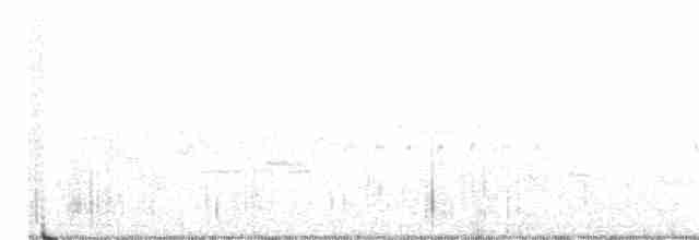 Oriole des vergers - ML350886681