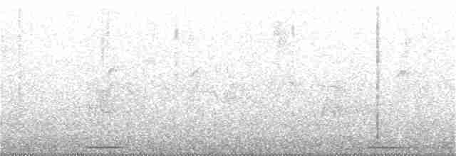 Талпакоті сірий - ML350935211