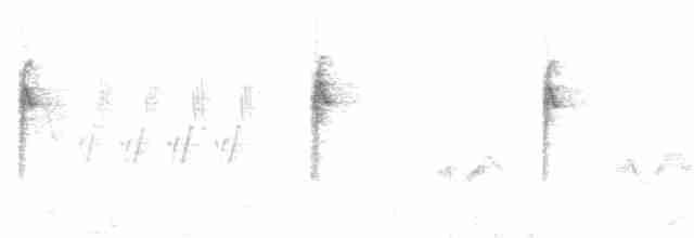 Белобровая овсянка (oriantha) - ML350969631