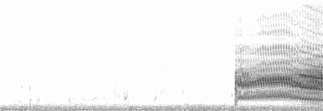White-cheeked Tern - ML351058131