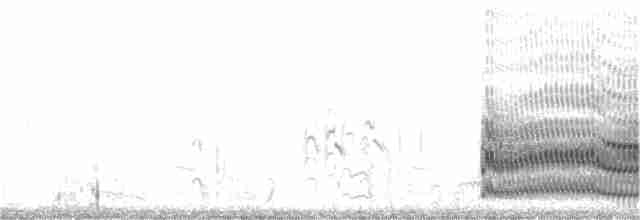 White-cheeked Tern - ML351058181