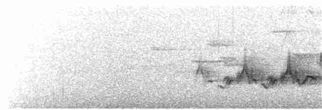 Amerika Çütresi (purpureus) - ML351116991