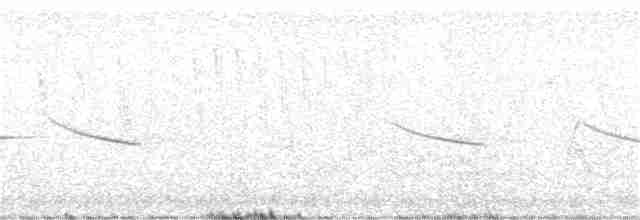 Рыжекрылая овсянка-барсучок - ML351128591
