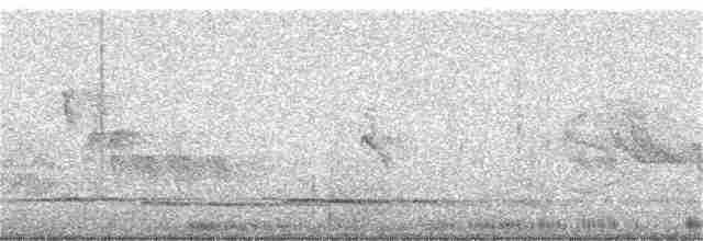 Kundinamarka Dikenkuyruğu - ML351211301